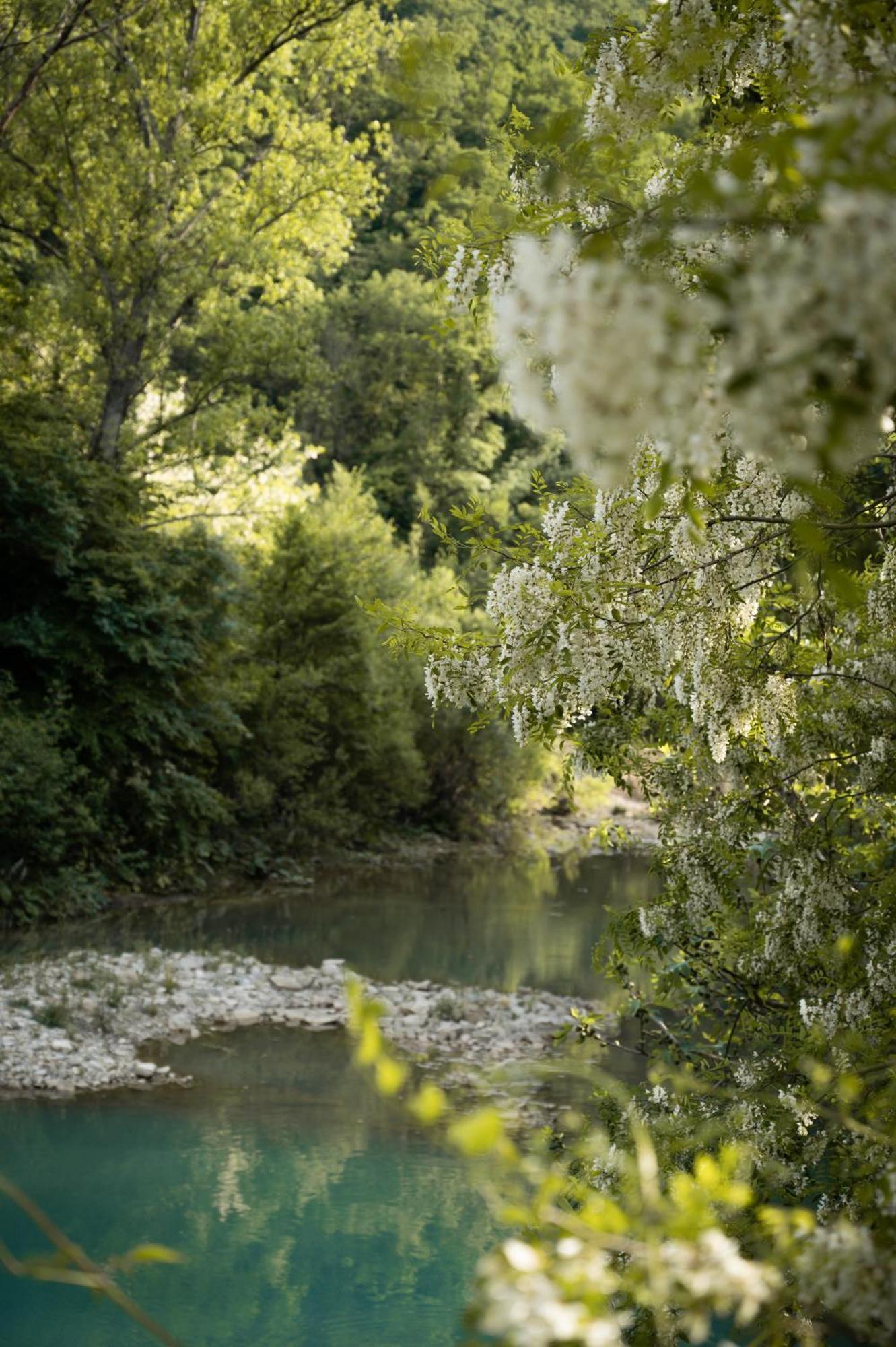 Glamping Dragonja River Smarje  Bagian luar foto