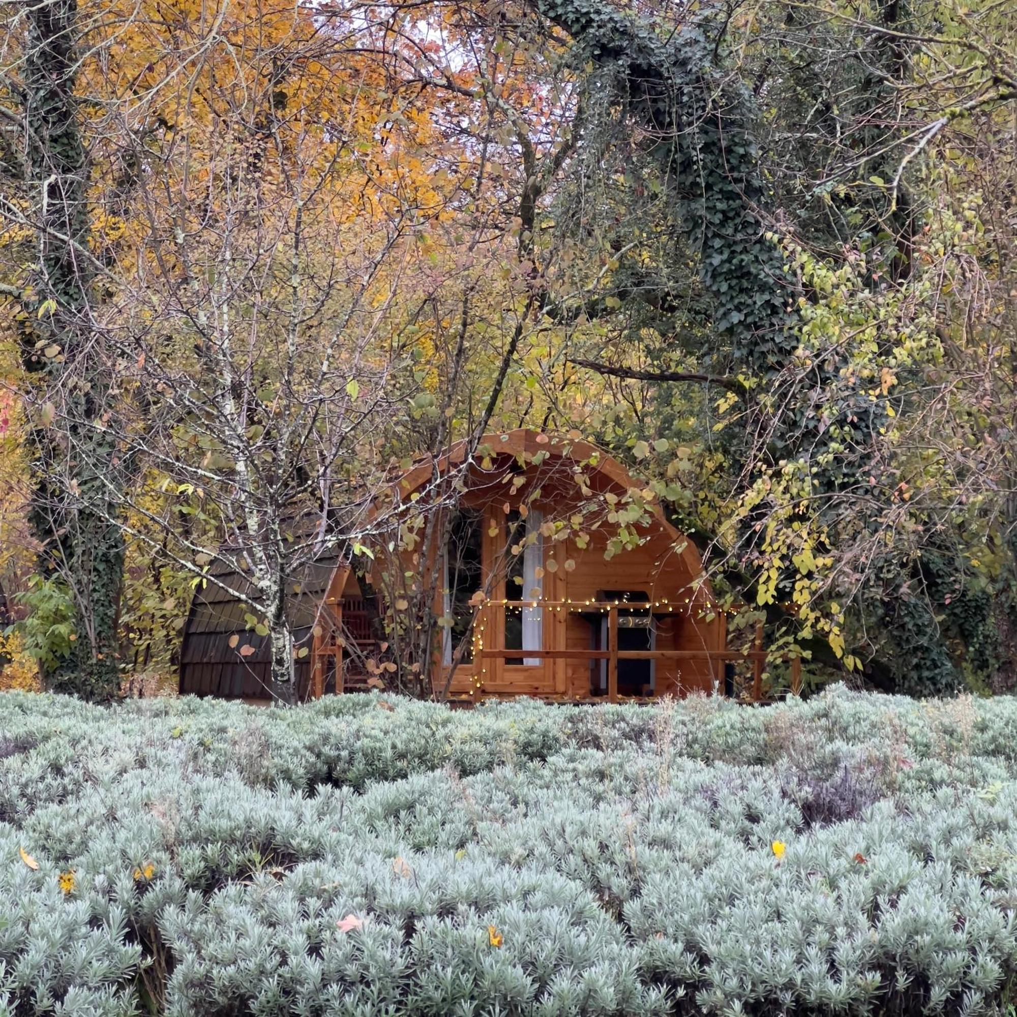 Glamping Dragonja River Smarje  Bagian luar foto